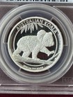 2016-p Australia Koala High Relief Design 1 Oz  999  Silver Pcgs Graded Pr70dcam