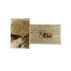 Antique Early 1900s Rppc Ephemera Postcard Transportation Canada Railways Train