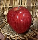 Realistic Artificial Fruit Faux Fake Food Red Apple Prop 847rax