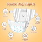 Pet Soft Doggie Diapers - Disposable Dog Xx-small  12 Count   Mixed 