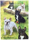 New French Bulldog Playing Card Set Of 52 Cards - Ruth Maystead Pet Dog Bulldogs