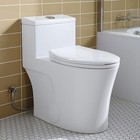 Horow T0338w One Piece Toilet 10  12   Rough-in Elongated Toilet Dual Flush