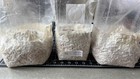 Colonized Mushroom Grain Spawn 1lb Bags Limited Quantity