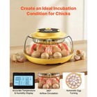 Uimoso 18 Egg Incubator With Auto Turning refill  Temperature   Humidity Control
