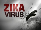  new Hat Mosquito Protrction Headnet Eastern Eouine Encephelitus Virus