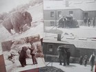 1908 Original Albumen 21 Photos Bronx Ny Zoological Park Elwin Roswell Sanborn