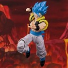 Demoniacal Fit Shf Hero Waltz Combination Warrior Blue Gogeta 1 12 Action Figure