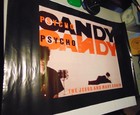 Jesus And Mary Chain   psycho Candy  1985 Promotional Poster