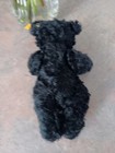 Steiff Black Mohair Mourning Bear 8 Inch Germany