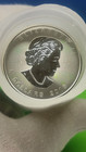  2016 Silver Canadian Maple Leaf Choice Uncirculated Bu 9999 Silver Bullion Coin