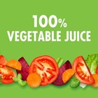 V8 Original 100  Vegetable Juice 5 5 Fl Oz select Your Flavor   Size 