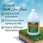 Medina 12-4-8 Hastagro Lawn  1 Gallon