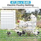 Electric Poultry Netting 47 2 h X 164 l Electric Chicken Fence For Chickens