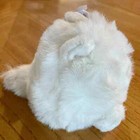 New Vtg Puffkins By Swibco Paws Plush 4  Beanie White Cat Named Paws 1994 W7