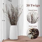 17 Inch Natural Birch Branches Dried Twigs Wreath Making 30pcs  Brown 