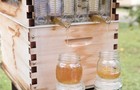 Genuine Flow Hive Brand Classic  6 Frame Kit  - New In Box