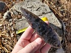 Two Flint Knapped Points  Arrowheads Ozark Chert  Silver Obsidian Paleo Style 