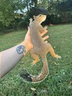 Taxidermy Squirrel Wall Mount Specimen