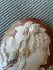 Antique Intricately Carved  Loose Unmounted Genuine Shell Woman 1 375    Cameo