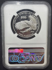 2023-w Freedom Of The Press 1 Oz  100 Platinum Eagle Ngc Pf-70 Ultra Cameo Moy