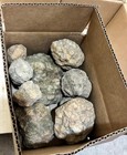 Box Of 10 Whole Natural Kentucky Geodes  Fast Free Shipping  Read Description 