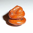Adorable Detailed Hand Carved Snake Coiled Boxwood Wood Shank Button 