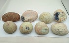 14 Pound Group Of Eight Uncut Rough Brazilian Agate Nodules Or Geodes 3-5 