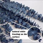 15pcs Preserved Dyed Blue-green Eucalyptus Stems  16-17  Natural Dried Leaves   