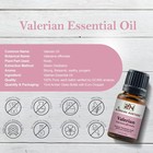 Valerian Essential Oil 100 pure Natural Therapeutic Grade