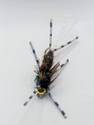 Pat s Rubber Legs Stonefly Nymph Trout Flies Size 12 Lot 6 Brown Flashback