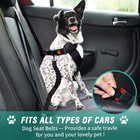 2-pack Car Dog Seat Belt Adjustable Nylon Bungee Pet Safety Belt