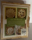Nib Williams Sonoma Summer Harvest Piecrust Cutters Set Of 4 New
