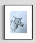 Original Animal Drawing  Donkey Study  Hand Drawn Pencil On Paper 12x9 Art