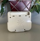 Tiger Paperboy Handheld Electronic Game Vintage 1988 Lcd Tengen Video  untested