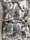 Pottery Barn Teen  Snowboarding Santa Flannel Pajama Set Xl