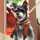 Cute Small Dog Vest Harness collar leash poo Bag Holder For Puppy Cat Pet Yorkie