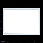 Old Vintage Photo Men With Camera Taking Picture