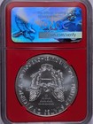 2017 Bullion Silver Eagles Ngc Ms-70 First Day Of Issue