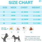 Cat Harness Leash Set Kitten Anti-escape Vest Strap Adjustable Neck Belt Pets