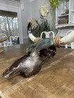 Beautiful Authentic Cow Skulls  Hand Painted And Crafted From Natural Materials