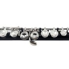 C Key 16 Hole Flute Closed Hole Black Nickel Plated Flute With Case Set