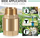 Univsp0465x-100 One Way Brass Check Valve  1  Npt Male In  1  Fnpt