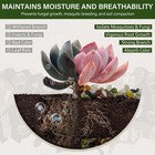  6 Lbs Pebbles For Indoor Plants  3 8 Inch Pea Gravel For Fish Tank  