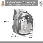 Bubble Pet Carrier Backpack Space Capsule For Small Dogs Cats Airline Approved