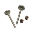 Intake exhaust Valve Set For Yamaha Badger 80 raptor 80 moto-4 100 grizzly 80 Us