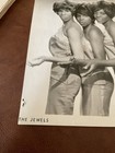 The Jewels Doo Wop Girl Band Vintage Back Signed Press Photo Vintage R b Jazz