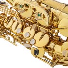 Glarry Super Sound Paint Gold Eb Alto Saxophone Sax W case Musical Instruments