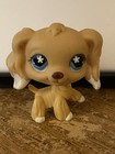 Littlest Pet Shop Lps Authentic  748 Blonde Cocker Spaniel Blue Flower Eyes