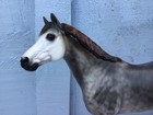 Breyer Horse Custom Idocus Warmblood Stallion Dark Mulberry Dapple Grey Cm Ooak
