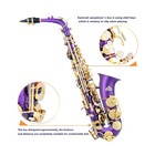 Eastrock Purple golden Alto Saxophone E Flat Sax Full Kit For Students Beginn   